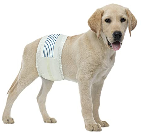 BV Dog Diapers Male Medium (Waist 13-23in) Super Absorbent - 50 Count Disposable - Doggie Diapers with Wetness Indicator - Adjustable Male Dog Wraps - Ideal for Incontinence/Training
