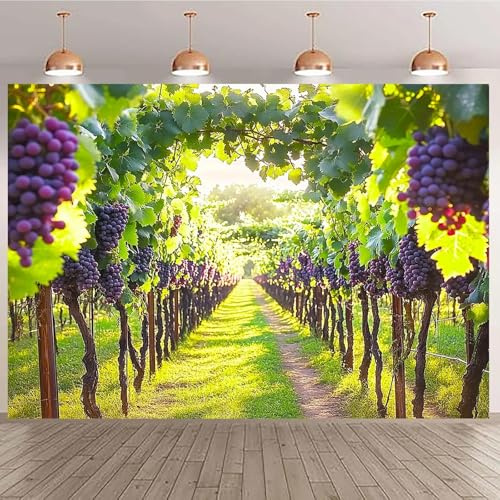1 pièce de Vigne Rurale et Fond de Paysage de vignoble - Drapeau de vignoble utilisé pour la décoration de Mariage de fête