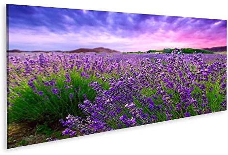 islandburner Bild auf Leinwand Sonnenuntergang Über Einem Lavendelfeld Tihany Ungarn Bilder Wandbilder Poster