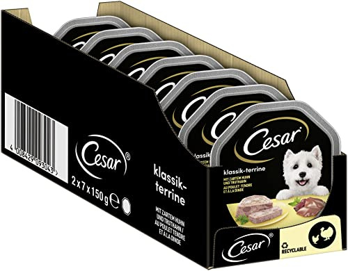 Cesar Hundmat våtfoder klassisk med delikat kyckling och kalkon, 14 skålar (2 x 7 x 150 g)