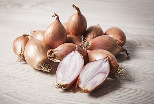 5 kg. Cebolla Èchalotte - Selección Gourmet