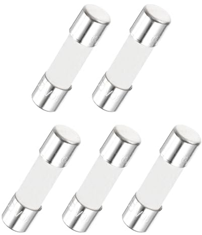 QUARKZMAN 5er Packung Keramik Sicherung 10A, Träge Feinsicherung 5x20mm Glassicherung 250V für Lichtern, Elektronik