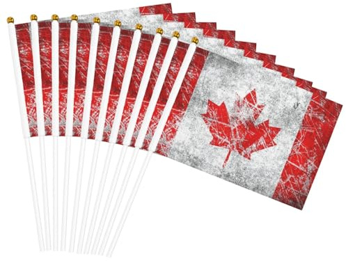 Bandiera del Canada stampa leggera palmare bandiera fronte-retro bandiere partito parata decorazione casa celebrazioni