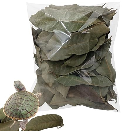 Ofcwoa Leaf Litter for Reptiles - Naturally Dry Pack of 50 Pet Accessories - Turtles Terrarium Litter, for Geckos Frogs Fish Snakes Home Indoor Outdoor Habitats Water Small Animals