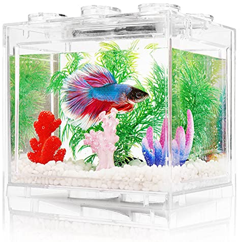 Kampffisch Aquarium Klein Komplettset, 1 L Aquarium Set Komplett mit LED- Beleuchtung, Weißem Kies, Künstlichen Korallen und Wasserpflanzen
