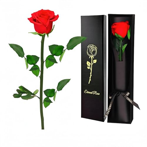 Wondora Infinity Rose Ewige Rose für Freundin Echte Konservierte Rosenbox, 3 Jahre Haltbar Haltbare Blume mit Ewigkeitsgarantie, Geschenk für Jeden Anlass(B)