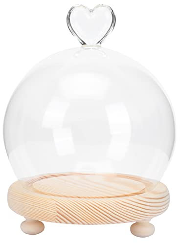 SOLUSTRE 1stk Konservierter Blumenlampenschirm Cupcake-verzierung Blumenabdeckung Aus Glas Dessertkuppeldeckel Pflanzenterrarium Aus Klarem Glas Makronen Hölzern Macaron Displayabdeckung