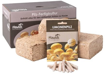 Hawlik Pilzbrut – Limonenpilze Pilzzuchtset für den Garten – Kinderleicht frische Pilze ernten – Eigenes Limonenseitling Pilzbeet anlegen - Pilze züchten Set für den Anbau im Garten