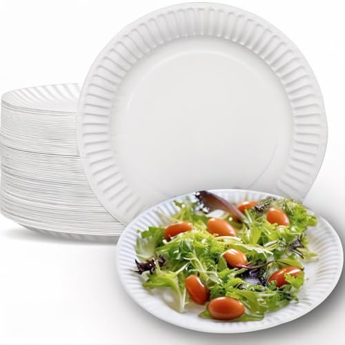 Clearly Disposable Plates, Pack of 500 Sturdy Paper Plates, Heavy Duty Paper Plates Bulk Pack for Party Food, Snacks, and More, White Bowls for Home and Business Use, 9/23cm Paper Dinner Plates