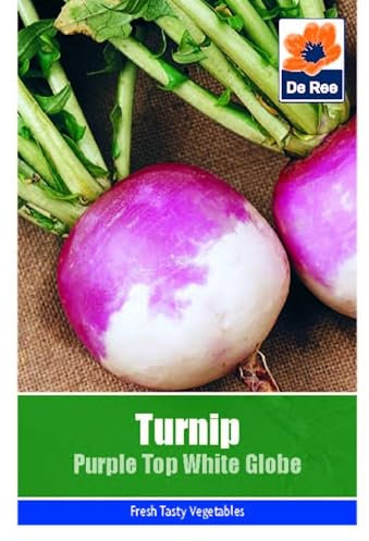Vegetable Seeds for Growing Turnip Purple Top White Globe 665 Seeds Grow Your Own Garden Vegetable Salad Herb