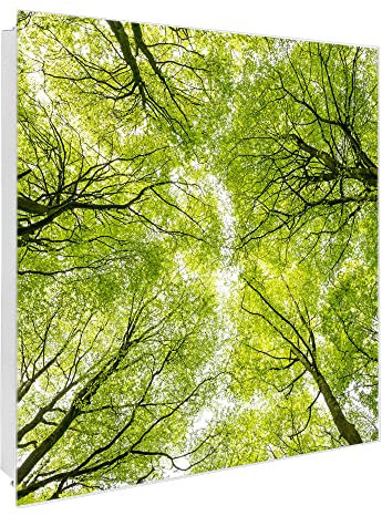 banjado Großer Schlüsselkasten Glas - Schlüsselbox 30x30cm mit 50 Haken - Schlüsselkasten modern für Schlüsselaufbewahrung mit beschreibbarer, magnetischer Glastür - Motiv Zwischen Bäumen