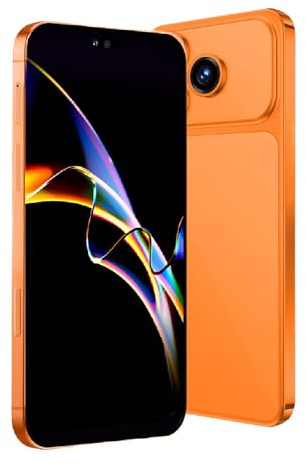 DEMANN GMBH Débloquez votre téléphone, écran de 6,52 pouces, 1 Go de RAM + 16 Go de ROM/TF 128 Go, double caméra 2 MP + 2 MP, compatible réseau 3G, double SIM, adapté aux débutants. (orange135)