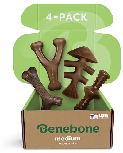 Benebone Durable Dog Chew Toy Box for Aggressive Chewers with Wishbone, Fishbone, Stick & Zaggler, Medium