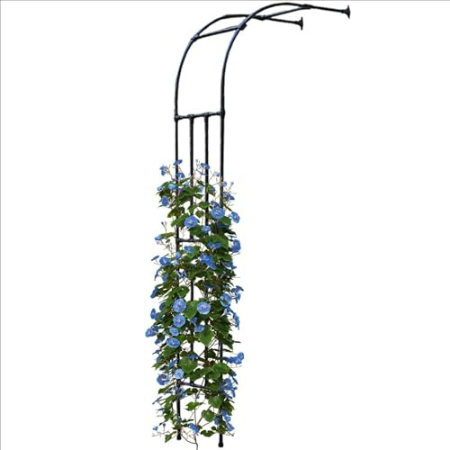 Arche de jardin en métal résistant aux intempéries, pergola, treillis pour plantes grimpantes, rosiers, support pour plantes sur un demi-côté, arche pour pelouse, jardin, fête, mariage(150x240x40CM/4.