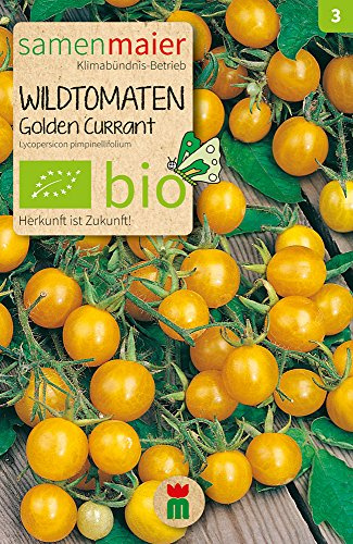 BIO Wildtomaten Golden Currant Samen - Robust und anspruchslos, mehrtriebig und buschig - Lycopersicon pimpinellifolium - Aussaat Februar bis April - Inhalt reicht für ca. 8 Pflanzen - Samen Maier
