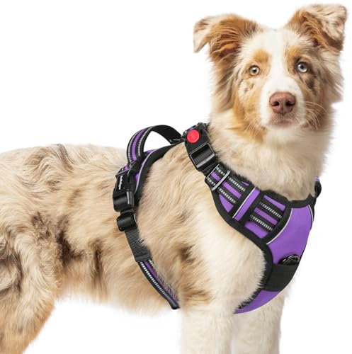rabbitgoo Dog Harness Medium with Neck Release Buckle, Adjustable No Pull Harness with Front Back Clips, Soft Padded with Easy Control Handle, Reflective Pet Walking Vest, Purple, M