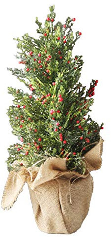 Weihnachtsbaum PVC - Zypresse, kleiner Weihnachtsbaum mit roten Früchten (30 cm, 45 cm), Schneebaumdekoration, Weihnachten, Schreibtischdekorationsbaum, zum Einkaufen im Homeoffice (Größe: A+B),