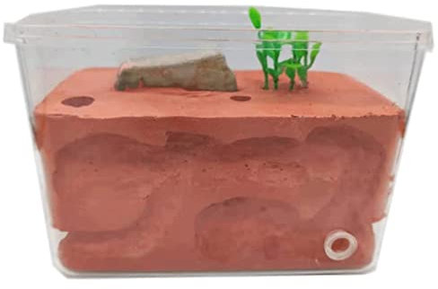 SAAKO Ameisenfarm Ameisenburg aus Acryl Gipsbeton Ameisennest Burg Werkstatt mit Ameisenfütterungsbox Ameisenfarm für Kinder und Erwachsene beobachten