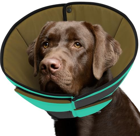 Queenmore Halskrause Hund Leckschutz, Weich Schutzkragen Hund, Genesungshalsband nach Operationen,Verstellbarer elisabethanischer Schutzkragen gegen Belecken und Beißen, für Hunde & Katzen (XL, Grün)