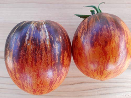 GHINO DI TACCO Pomodoro Gargamella