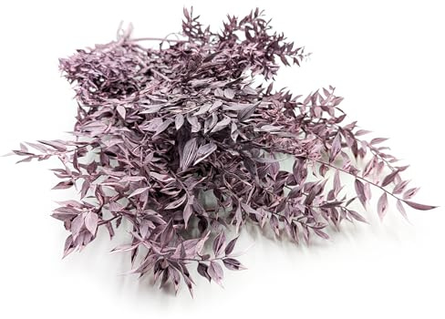 Enchanted Trockenblumen Dekogras Ruscus Getrocknetes Gras Ziergras Natürlich Deko Gebleicht Lila