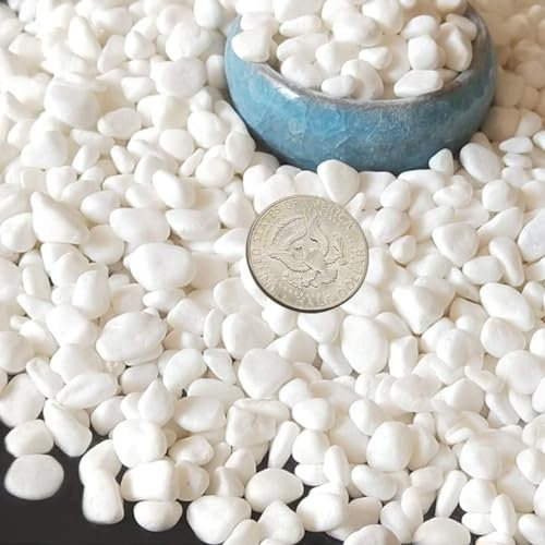 TOYPOPOR Mini piedras blancas decorativas para jarrón, suculentas, cactus, bonsái, plantas, jardín, exterior, interior, grava para acuario, terrario, jardinería de hadas, aderezo superior de 6 libras