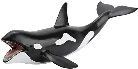 Zerodis Wal Modell Simulation Miniatur Wal Spielzeug Sammlung Figur Wild Marine Ozean Kreaturen Tier Spielzeug Home Ornament für Kinder (Killerwal)
