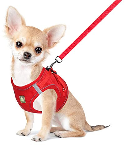 FEimaX Hundegeschirr mit Leine für Kleine Mittele Hunde Katzen Weich Mesh Welpengeschirr Atmungsaktive Brustgeschirr Verstellbare Reflektierend No Pull Weste Chihuahua Katze