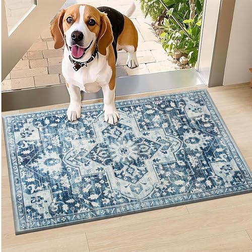 Hafaa Door Mat 40 x 60 cm – Tranquil Machine Washable Mat Super Soft Non Slip Doormat Indoor Outdoor Water Absorbent Floor Mats Heavy Duty Entrance Rug