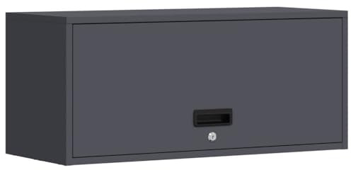Tomostar Armoire Murale de Rangement Garage, Armoire Suspendue à Outils en Métal pour Atelier Garage Anthracite 80x33x35 cm