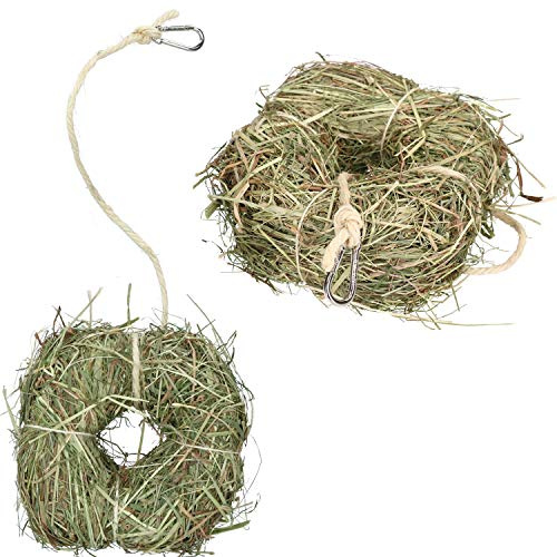 2pk Small animale demolitore noia trattare coniglio Guinea Erba medica anello