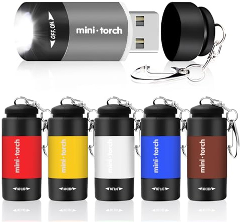 Tulov 6 Mini torcia LED – Torcia colorata per bambini – Ricaricabile USB – Piccole torce con portachiavi – per emergenza, all'aperto, campeggio