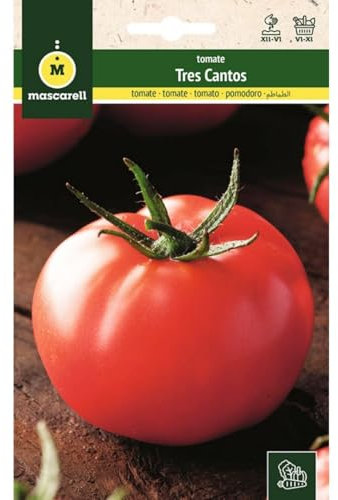 Mascarell Semillas, TOMATE, Semillas Huerto, TOMATE TRES CANTOS, Crea tu Propio Huerto Urbano y Cultivo en Casa, Plantas Hortícolas, 1 Gramos
