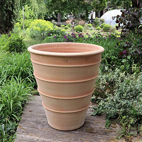 Kreta Keramik Maceta de terracota hecha a mano, resistente a las heladas y a la intemperie, altura de 35 cm, Yucca
