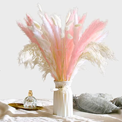Natürliche Pampasgras Deko 47 Stück DIY Trockenblumen für Pampasgras Getrocknet Strauss, Ideal for Boho Wohnzimmer-Schlafzimmer-und Vasen Deko (47 Stück)