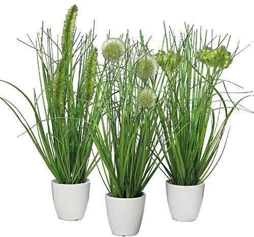 Klocke Dekorationsbedarf Kunstpflanze - Gras im Topf - 3 Stück - Höhe: 36cm - Farbe: Grün - Kunstgras/Tischdeko