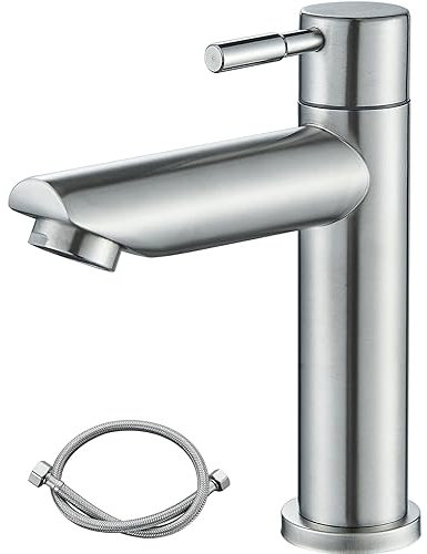 Rozin Kaltwasserhahn Wasserhahn Bad Kleine Armatur nur Kaltwass Edelstahl Einhebelmischer mit 60cm Anschlussschlauch für Gäste WC Bad Kaltwasserarmatur Gebürstetes Nickel