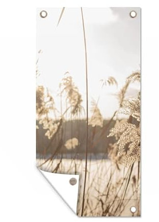 MuchoWow Poster exterieur Eau - Herbe de la pampa - Plantes Decoration murale 30x60 cm Résistant aux intempéries/soleil