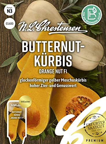 Chrestensen Butternutkürbis Orange Nut F1 Samen | Butternut Glockenform 2kg, Cremig Nussig Süß, Cucurbita moschata, Lagerfähig, Freiland Gewächshaus