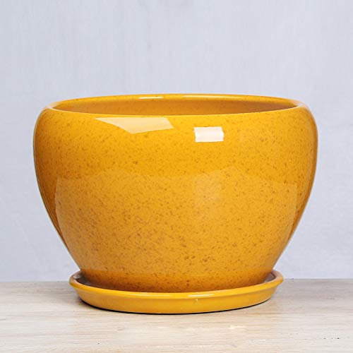 GImLY Blumentopf Bunte Blumentöpfe für den Innenbereich für Büro, Schreibtisch, mit Paletten/Tabletts, Zuhause und Büro, Keramik-Blumentopf, Fensterbank, Dekoration, Hochzeit, Geburtstag, Sukkulenten