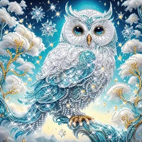 SUNSIERWEI Diamond Painting Erwachsene und Kinder, 5D Diamond Painting Bilder, DIY Mosaikherstellung Arts Craft für Heimdekoration,Weihnachtsgeschenke,Geschenke für Freunde, Familie,30x30cm(Eule)