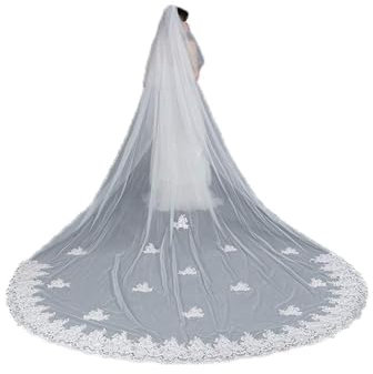 BEAUTELICATE Brautschleier Schleier Lang Spitze Stickerei Für Braut Hochzeit Softtüll Weiß Ivory Länge der Kathedrale Mit Metall Kamm 2 Schicht 3m