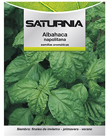 Semillas Aromáticas Albahaca Gigante (5 gramos) Horticultura, Horticola, Semillas Huerto.