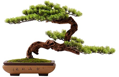 Künstliche Bäume Zypressen Willkommen Kiefer Bonsai Künstliche Pflanzen Bonsai Baum Indoor Holz Willkommend Kiefer Bonsai Zen Dekorative Bonsai mit Keramiktöpfen Wohnzimmer Korridor Dekor