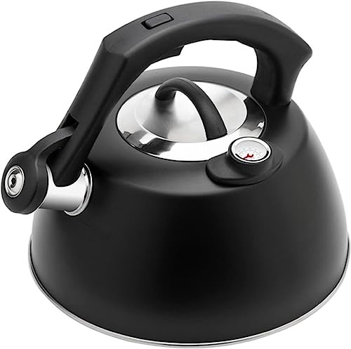 JYARZ Bollitore Acqua Gas Bollitore da tè con Fischio in Acciaio Inossidabile con Display della Temperatura Bollitore Induzione (Color : Nero, Size : 2.5L)