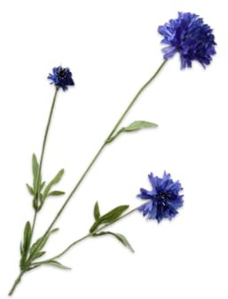 Silk-ka Künstliche Blume – Seidenblume, Kornblumenzweig, Lavendel, 65 cm, Sonderangebot pro 2 Stück
