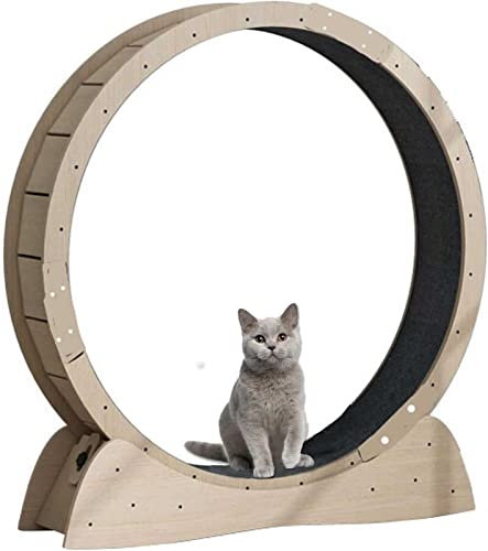 PRMTYUP Großes Katzenübungsrad Für Innenkatzen Katzenrad Mit Sicherheitsschloss Austauschbare Griffpads Geräuschlose Walzen Für Tierverlustgewicht Und Bewegung,S