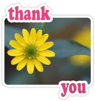 Gelbe Blumen Grün Chrysantheme Dankeschön-Aufkleber Zitat Dankbar