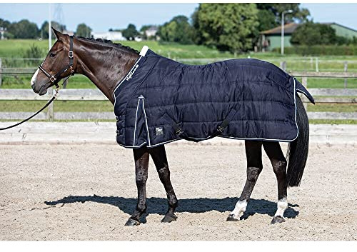 Harry's Horse Highliner 32205951-07-155CM Stable Blanket 500 g Green Size 155 cm