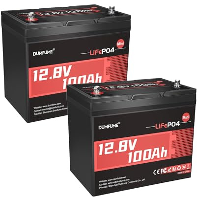 2 Pack 12V 100Ah Mini LiFePO4 Akku, 100A BMS 1280Wh 6000+ Zyklen - Kompaktes Lithium Batterie Set für Solaranlage, Caravan, USV und Heimenergiespeicher mit 10 Jahren Lebensdauer